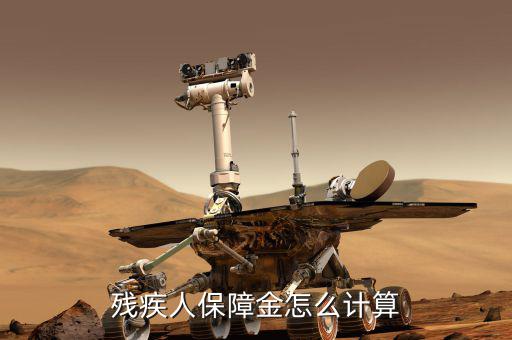 殘疾人保障金如何計算繳納，殘保金如何計算