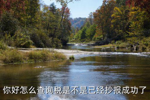 如何查看抄報(bào)成功，稅控發(fā)票開票軟件怎么看網(wǎng)上抄報(bào)成功沒有