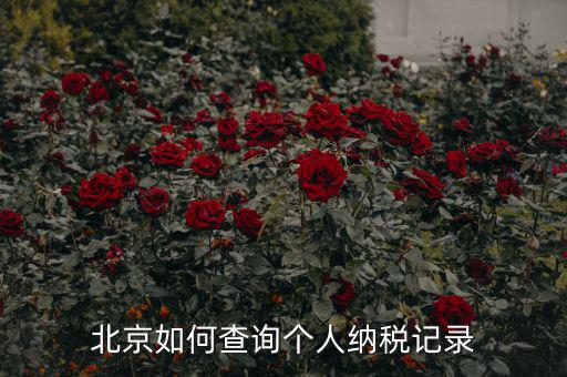 如何查詢北京國稅局納稅人狀態(tài)，如何進(jìn)行北京市A級納稅人信用查詢
