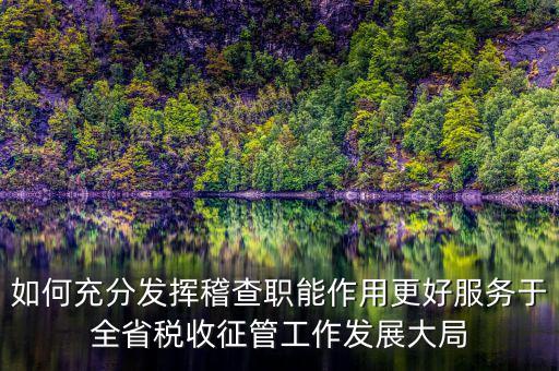 如何充分發(fā)揮稽查職能作用更好服務于全省稅收征管工作發(fā)展大局