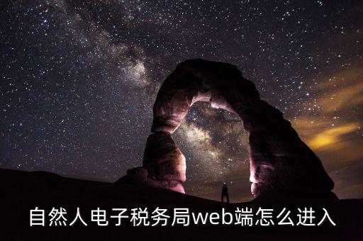 網(wǎng)上稅務(wù)局如何以自然人登錄，電子稅務(wù)局有哪幾種登錄方式