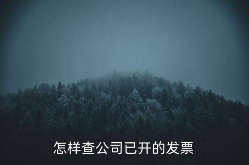 如何查企業(yè)的開票資料，如何查詢其他企業(yè)開具給本企業(yè)的發(fā)票