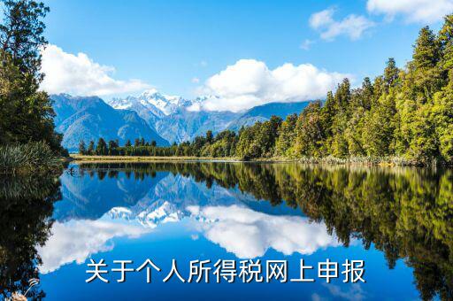 網(wǎng)上如何啟用個稅，如何打開個人所得稅申報表的明細