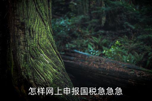 怎樣網上申報國稅急急急