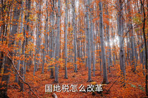 宿豫區(qū)國稅與地稅如何改革，深化國稅地稅征管體制改革方案是 什么內(nèi)容