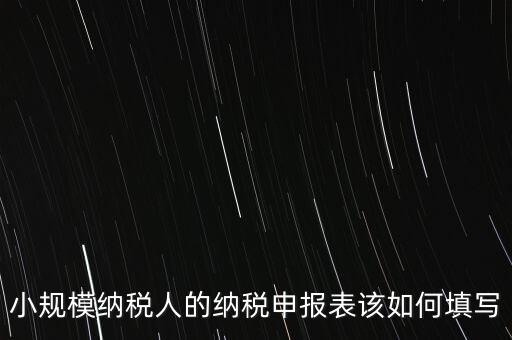 小規(guī)模納稅人的納稅申報(bào)表該如何填寫(xiě)