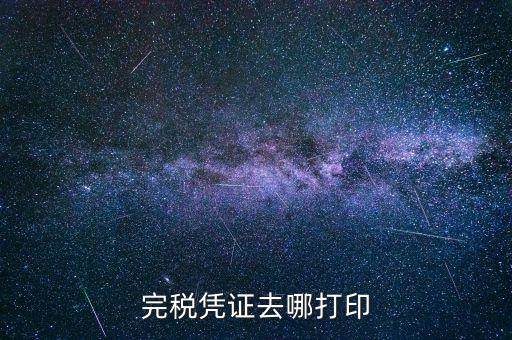 如何打印地稅完稅憑證，地稅繳款憑證如何打印