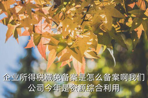 如何打印稅收優(yōu)惠備案通知書，減免稅備案登記告知書在哪里打印的