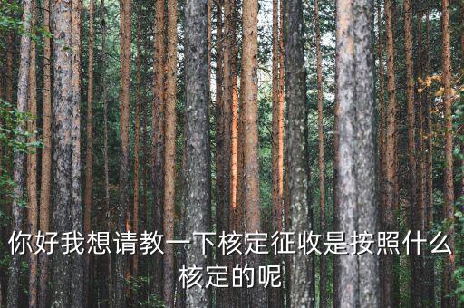 核定征收認定如何認定，如何核定征收