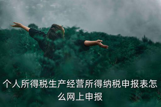生產經營所得如何網上申報，個體工商戶網上申報怎么做