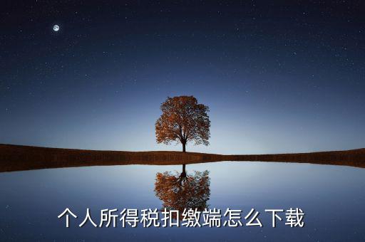 如何下載自然人扣繳客戶端，重慶市自然人電子稅務(wù)局扣繳端怎么下載