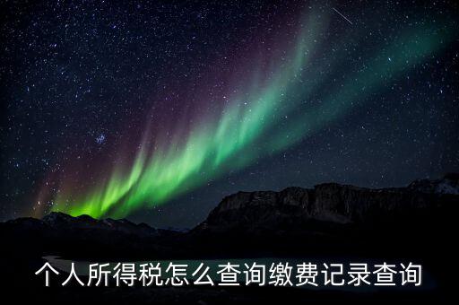 金稅三期個(gè)人所得稅如何查詢，個(gè)人所得稅怎么查詢繳費(fèi)記錄查詢