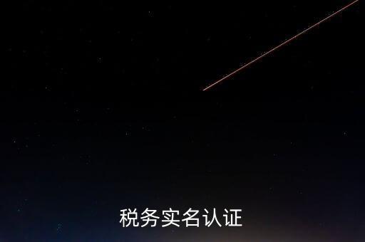 湖北省公司辦稅人員如何實(shí)名，稅務(wù)實(shí)名制信息采集