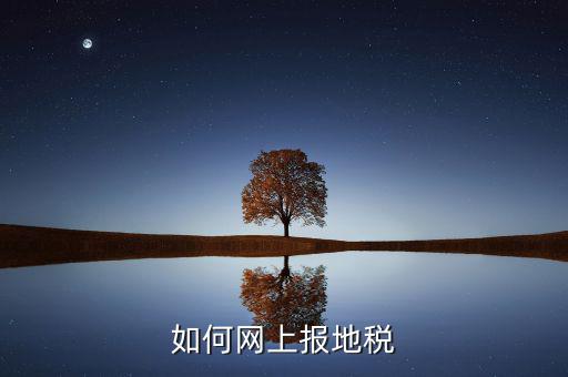 北京市地稅如何網(wǎng)上報稅，北京地稅網(wǎng)上報稅 怎么才算申報成功可以去銀行繳款了