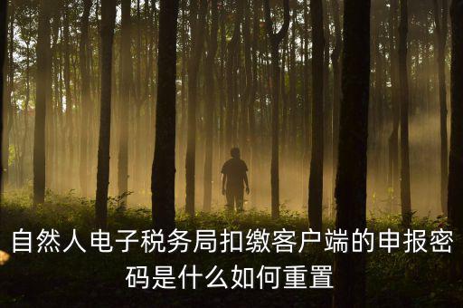 自然人納稅申報密碼如何找回，電子稅務局密碼忘記了怎么找回