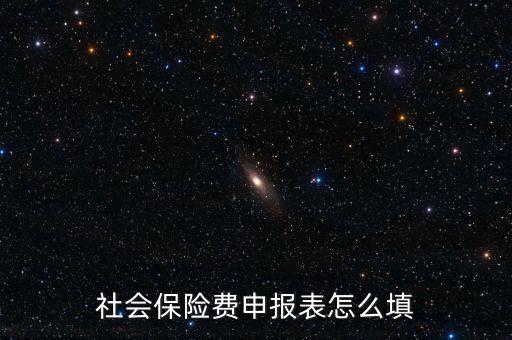 稅務系統(tǒng)社保費申報表如何填報，社會保險費申報表怎么填