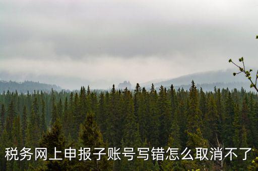 稅務(wù)網(wǎng)上申報(bào)子賬號寫錯怎么取消不了