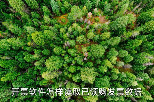 發(fā)票數(shù)據(jù)如何采集，開(kāi)票軟件怎樣讀取已領(lǐng)購(gòu)發(fā)票數(shù)據(jù)