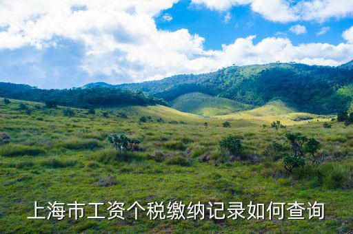 上海如何查納稅記錄，上海市工資個稅繳納記錄如何查詢