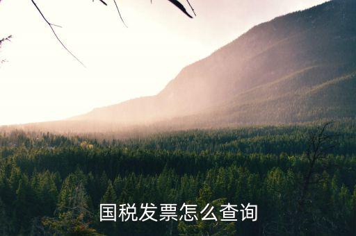 河北省的發(fā)票如何查詢，我的發(fā)票在河北地稅網(wǎng)上可以查到信息都沒有問題但是河北地稅