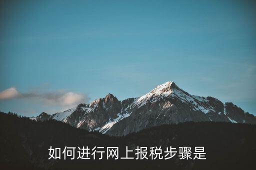 如何推行網(wǎng)上辦稅，如何辦理網(wǎng)上納稅