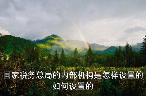 市稅務局如何設(shè)立區(qū)稅務機構(gòu)，稅務部門的部門設(shè)置