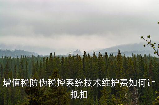 稅控維護(hù)費(fèi)如何抵稅，稅控維護(hù)費(fèi)抵扣問題