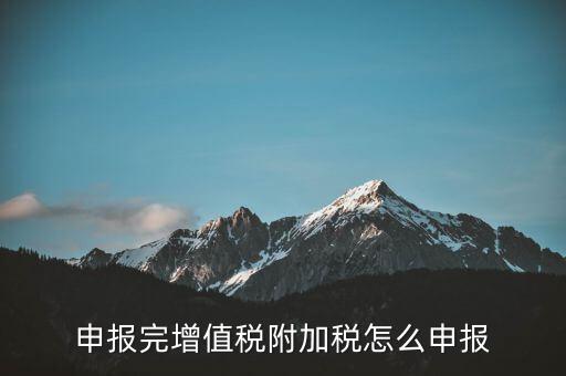 附加稅在國(guó)家稅務(wù)局網(wǎng)如何申報(bào)表，網(wǎng)上申報(bào)城建稅教育附加稅怎么填