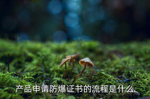 如何辦理防爆用地，產(chǎn)品辦理防爆認證流程有哪些