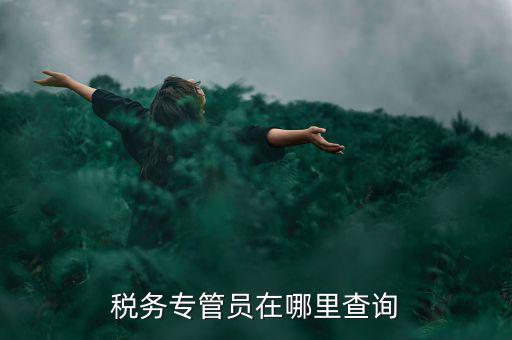 北京如何查詢稅務專管員，如何在網(wǎng)上查詢國稅專管員