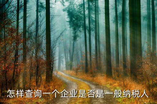 遼寧如何查一般納稅人，怎樣查詢(xún)一個(gè)企業(yè)是否是一般納稅人