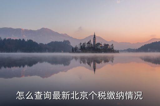 北京市 欠稅人員如何查詢，稅務(wù)欠稅信息如何查詢