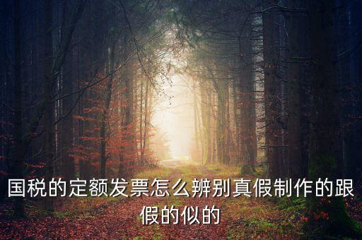 如何驗(yàn)證定額發(fā)票，國稅的定額發(fā)票怎么辨別真假制作的跟假的似的