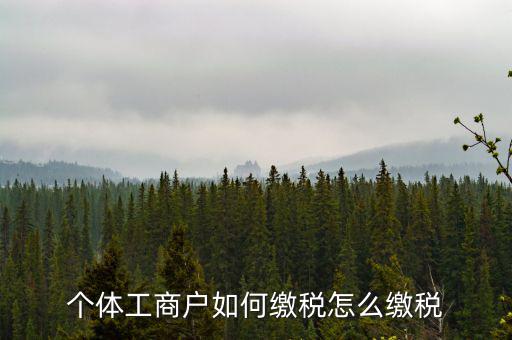 福建企業(yè)如何繳稅，企業(yè)所得稅是多少
