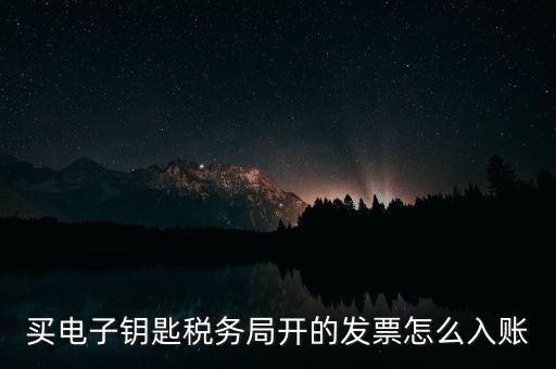 買(mǎi)電子鑰匙稅務(wù)局開(kāi)的發(fā)票怎么入賬