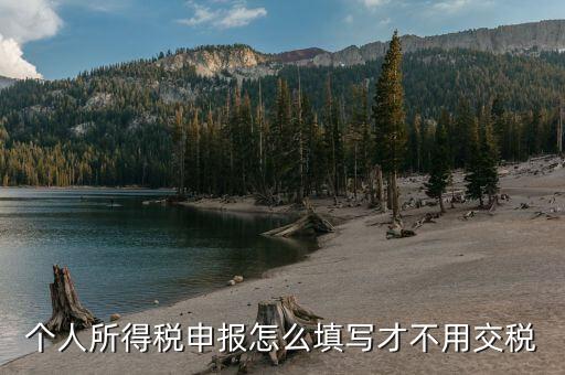 福建自然人個(gè)稅如何申報(bào)才不用繳稅，個(gè)稅專項(xiàng)附加扣除怎樣填寫才不繳稅
