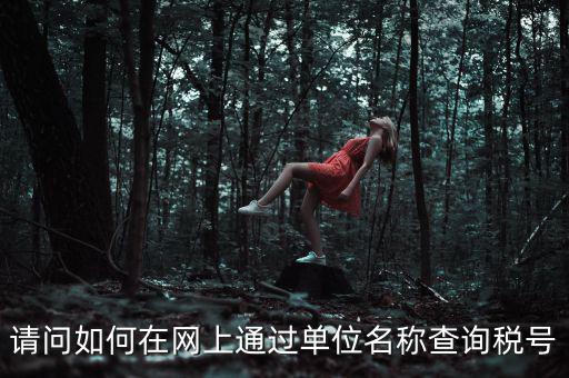 如何通過(guò)公司名稱查稅號(hào)，知道公司名字怎么查稅號(hào)嗎