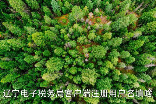 如何注冊社保電子稅務(wù)局賬號，遼寧電子稅務(wù)局客戶端注冊用戶名填啥