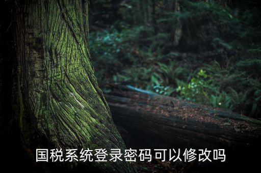 國稅系統登錄密碼可以修改嗎