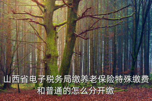 山西養(yǎng)老保險(xiǎn)如何和國稅局對接，交養(yǎng)老保險(xiǎn)交到國家稅務(wù)總局怎么辦