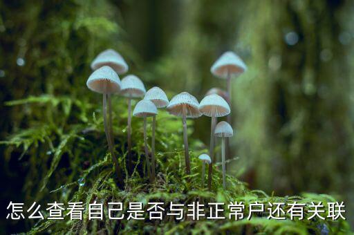 怎么查看自己是否與非正常戶還有關聯(lián)