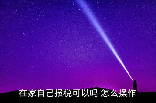 如何自行申報(bào)納稅，在家自己報(bào)稅可以嗎 怎么操作