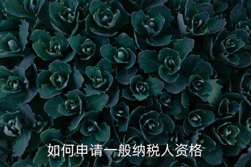 一般納稅人如何申請(qǐng)B級(jí)，一般納稅人B類企業(yè)如何申報(bào)企業(yè)所得稅