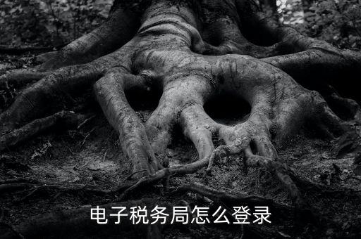 如何登錄稅務(wù)局官網(wǎng)，電子稅務(wù)局怎么登錄