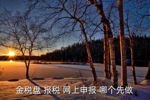 金稅盤如何網上申報，求金稅盤如何在電腦上報稅操作流程