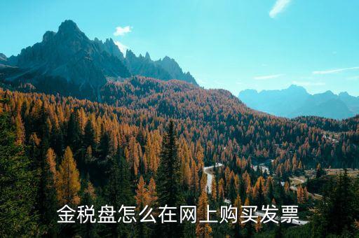 金稅盤如何網(wǎng)上購票，金稅盤領購發(fā)票的流程