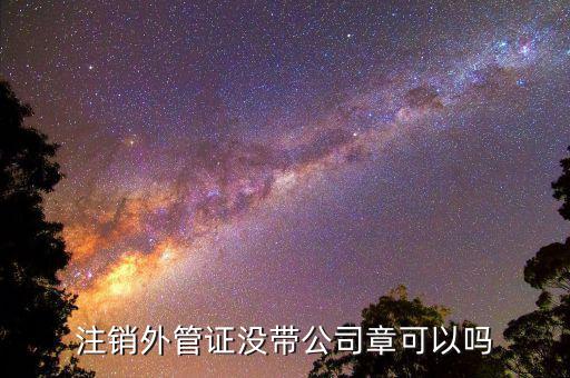 注銷(xiāo)外管證沒(méi)帶公司章可以嗎