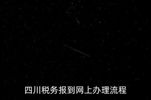 四川企業(yè)地稅如何網(wǎng)上申報(bào)系統(tǒng)，稅務(wù)申報(bào)如何網(wǎng)上申報(bào)