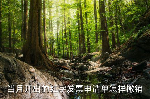 如何撤銷(xiāo)紅字發(fā)票申請(qǐng)書(shū)，紅字申請(qǐng)單如何作廢