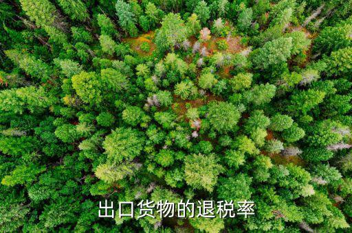 如何查看出口退稅產(chǎn)品退稅率，浙江省電子稅務局怎么查出口退稅率